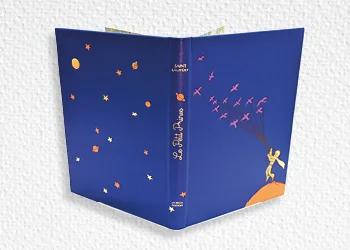 LE PETIT PRINCE